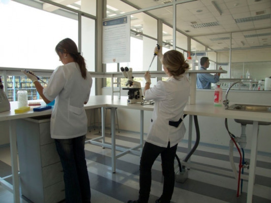 Работа в лаборатории